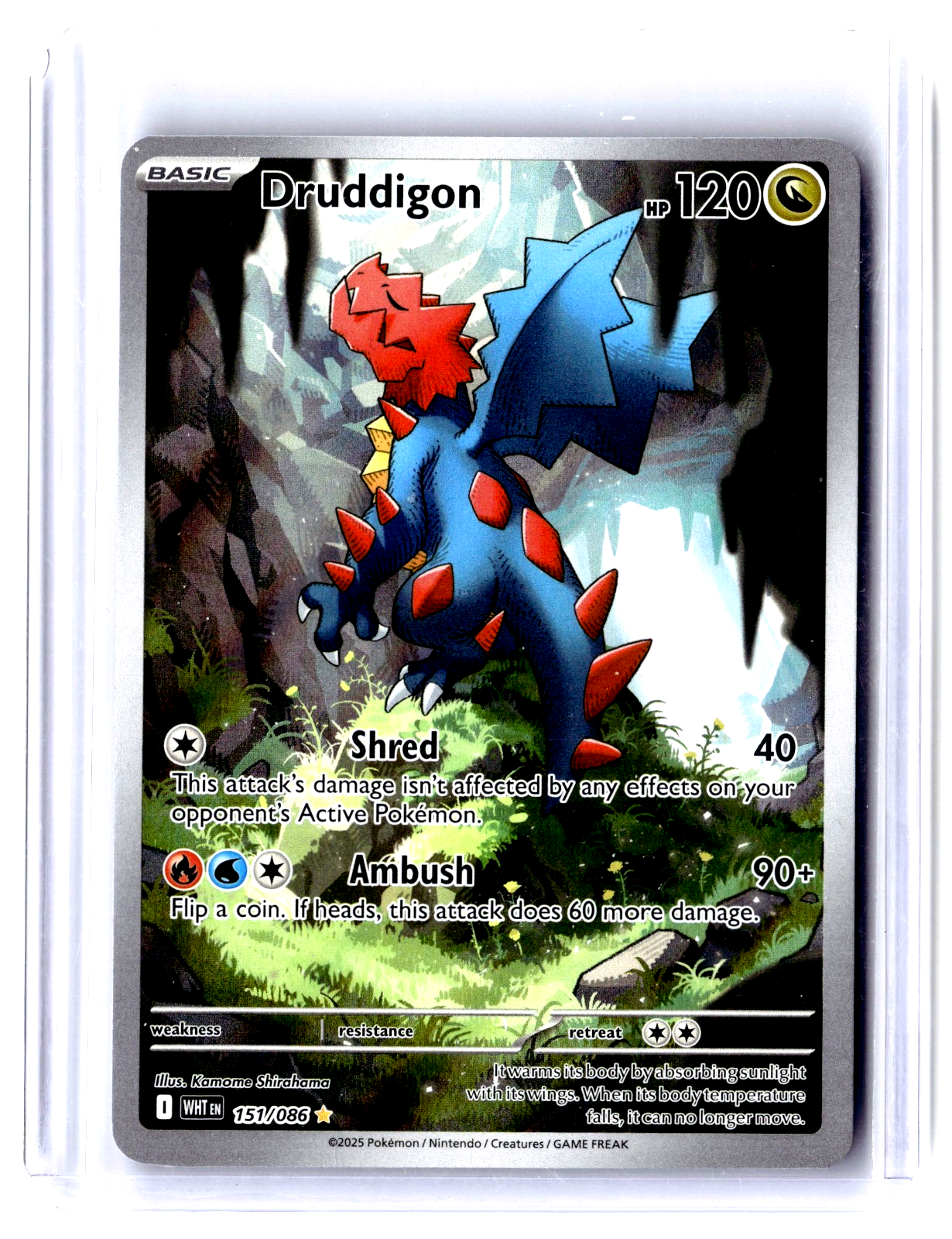 2024 Zorua 075/064 Illustration Rare Pokémon TCG SV Shrouded Fable