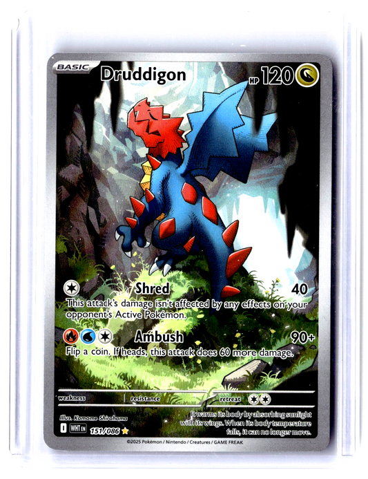 2024 Zorua 075/064 Illustration Rare Pokémon TCG SV Shrouded Fable
