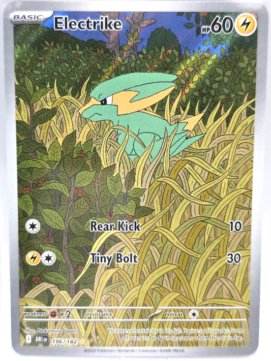 Electrike 196/182 Illustration Rare Pokémon Card SV Destined Rivals English