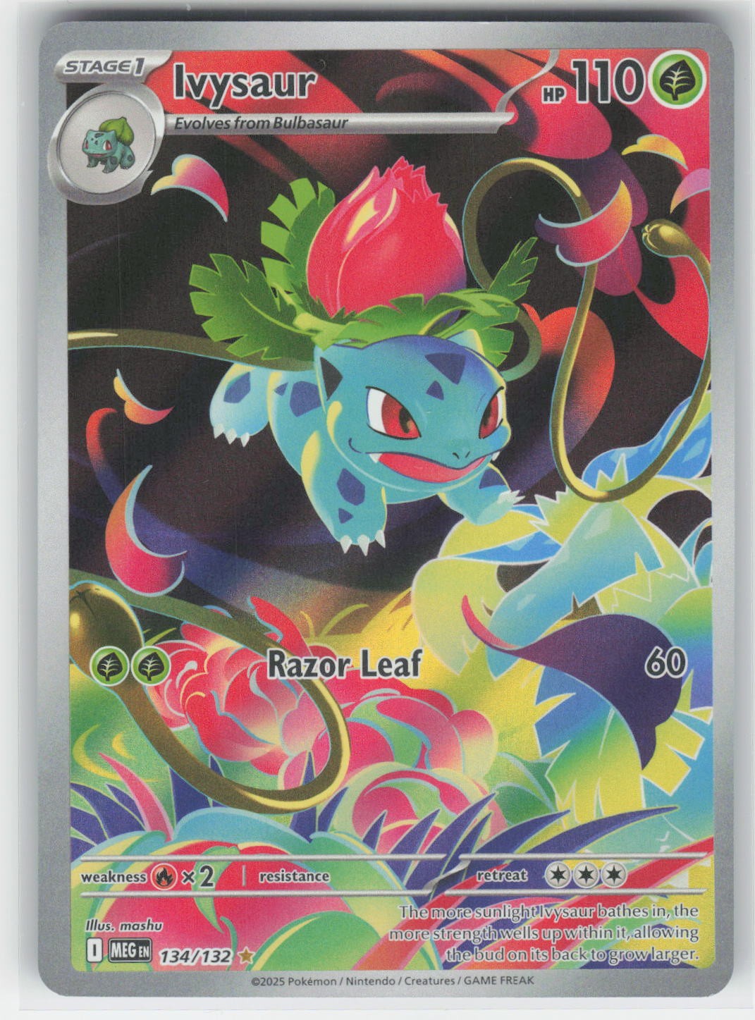 Ivysaur - MEG ME01: Mega Evolution #134/132 Illustration Rare Holo NM