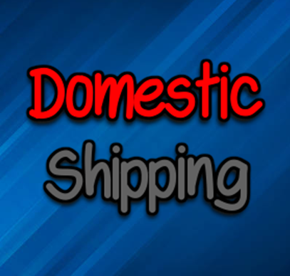 Domestic Shipping Options