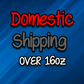 Domestic Shipping Options